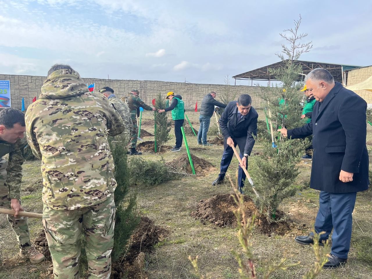 Xəzər rayonunda ağacəkmə aksiyası keçirildi - FOTOLAR